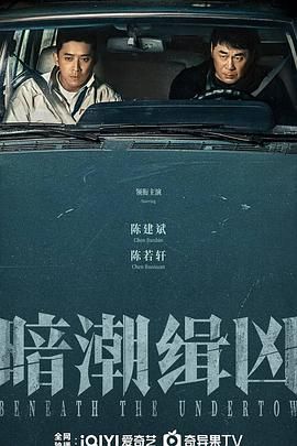 暗潮缉凶 第12集