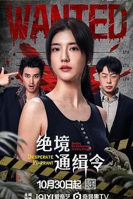绝境通缉令 第2集