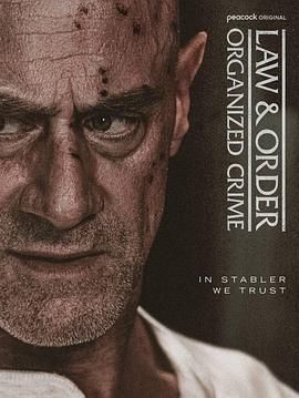 法律与秩序：组织犯罪 第五季 第8集