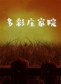 多彩庄家院 第38集