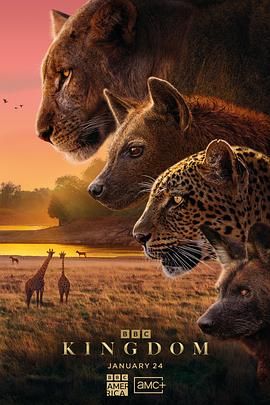 动物王国2025 第3集